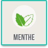 picto aromes menthes